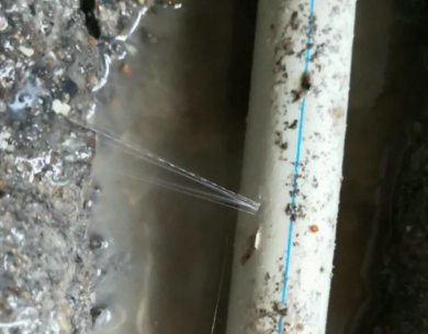 津市测漏水哪家好