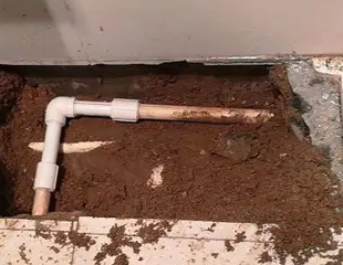 津市测漏水哪家好