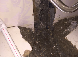 津市卫生间测漏水哪家好