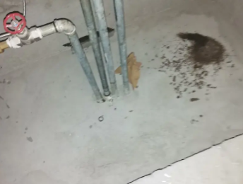 津市卫生间测漏水价格明细