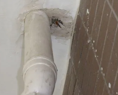 津市漏水检测哪家好